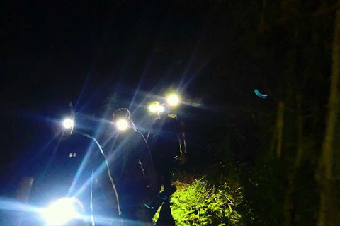 Blue Mountains Hiking Glow Worms Cave Wildlife Spotlighting Night Adventure - Accommodation NT 8