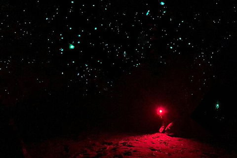 Blue Mountains Hiking Glow Worms Cave Wildlife Spotlighting Night Adventure - Accommodation NT 5
