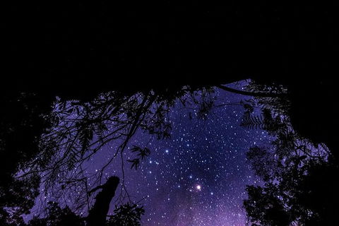 Blue Mountains Hiking Glow Worms Cave Wildlife Spotlighting Night Adventure - Accommodation NT 11