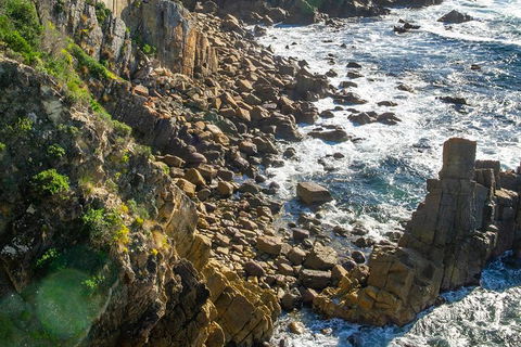 Beaches Of Eden Photographic Discovery Tours - Accommodation NT 21