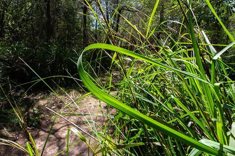 Beaches Of Eden Photographic Discovery Tours - Accommodation NT 22