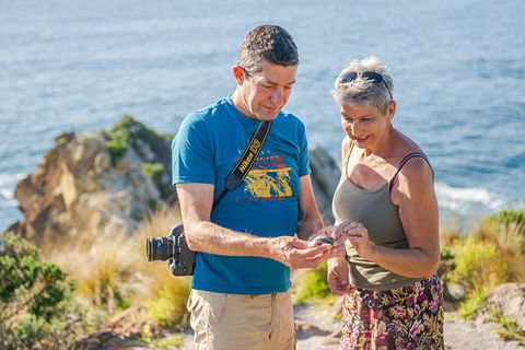 Beaches Of Eden Photographic Discovery Tours - Accommodation NT 18