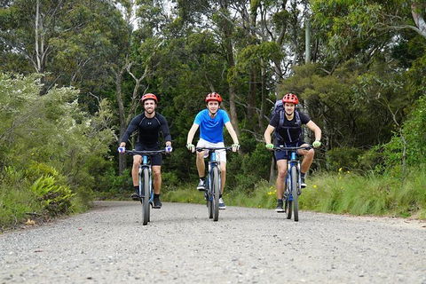 Blue Mountains Hanging Rock SELF-GUIDED Mountain Bike Hire Service - Accommodation NT 5