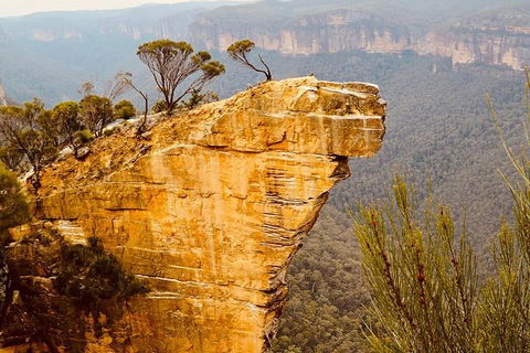 Blue Mountains Hanging Rock SELF-GUIDED Mountain Bike Hire Service - Accommodation NT 7