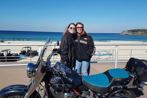 Bondi & Sydney Sights Tour 1.5hrs - Accommodation NT 0