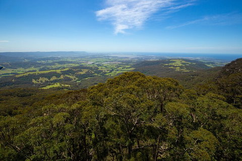 Illawarra Fly Treetop Adventures Treetop Walk Admission Ticket - Accommodation NT 6
