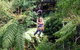 Illawarra Fly Treetop Adventures Treetop Walk Admission Ticket - thumb 2