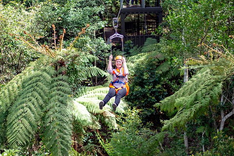Illawarra Fly Treetop Adventures Treetop Walk Admission Ticket - Accommodation NT 2