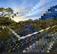 Illawarra Fly Treetop Adventures Treetop Walk Admission Ticket - Accommodation NT