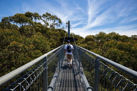 Illawarra Fly Treetop Adventures Treetop Walk Admission Ticket - Accommodation NT 0