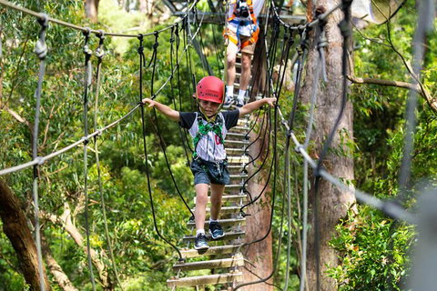 Illawarra Fly Treetop Adventures Treetop Walk Admission Ticket - Accommodation NT 3