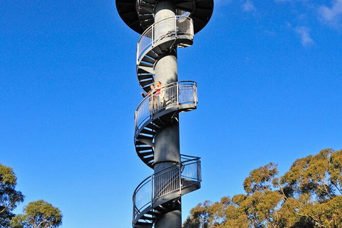 Illawarra Fly Treetop Adventures Treetop Walk Admission Ticket - Accommodation NT 5