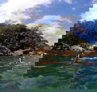 Manly Snorkel Tour  Beyond Manly Half Day Adventure with City pick up - Accommodation NT
