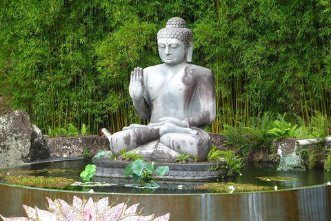 Crystal Castle Shuttle From Byron Bay (full Day) - Accommodation NT 0