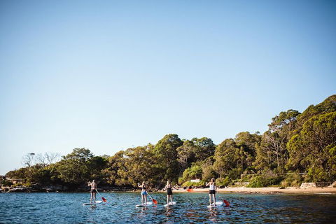 Stand Up Paddle Board Hire - 2 Hours - Accommodation NT 2
