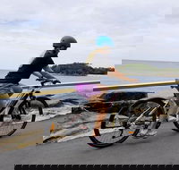 Best of Manly Beach Electric Bike Tour - Accommodation NT