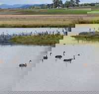 Beardy Waters Dam and Woodlands - Accommodation NT
