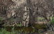 Brisbane Ranges National Park - thumb 0