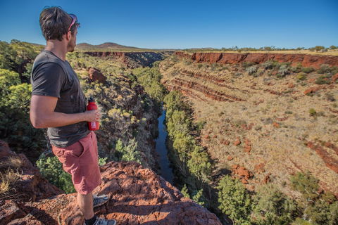 Gorge Rim Walk, Dales Gorge - Accommodation NT 0