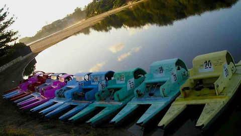 Terrigal Paddle Boats And Stand Up Paddle Boards - NT Tourism 0