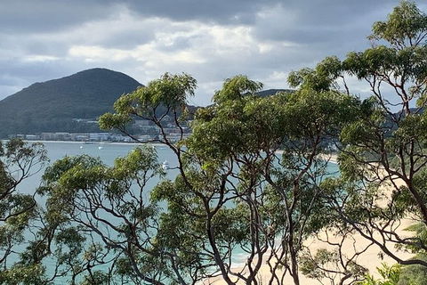 Newcastle Airport To The Tomaree Peninsula. - Accommodation NT 0
