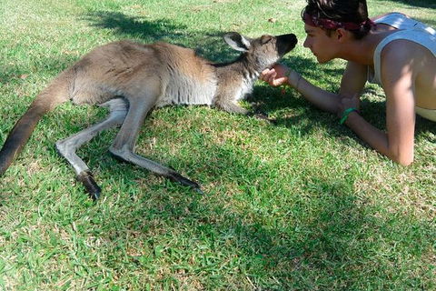 7-Day Tour In Sydney With Airport Pickup - Accommodation NT 15
