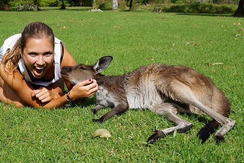 7-Day Tour In Sydney With Airport Pickup - Accommodation NT 2