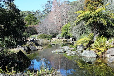 The Other Side Of The Blue Mountains - Accommodation NT 5