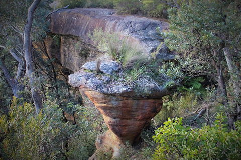 The Other Side Of The Blue Mountains - Accommodation NT 4
