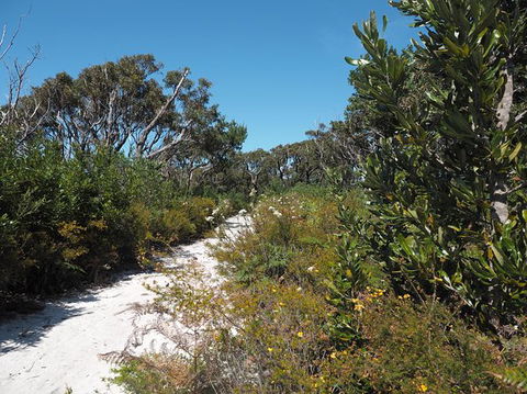 Big Rocky! Full Day Guided Walk - Accommodation NT 8