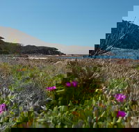 Big Rocky Full Day Guided Walk - Accommodation NT