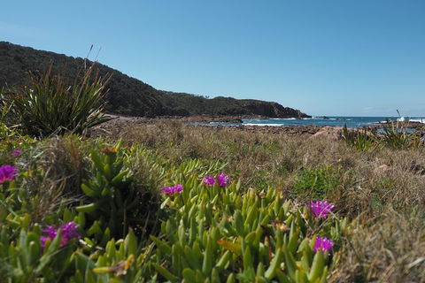 Big Rocky! Full Day Guided Walk - Accommodation NT 0