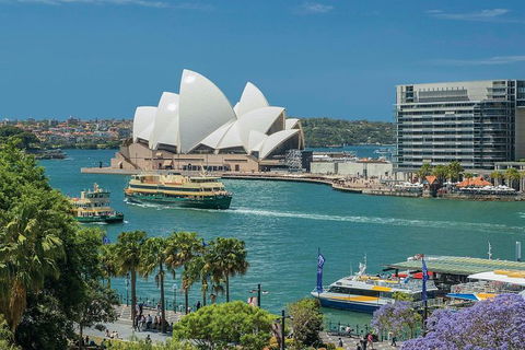 Private Tour Of Sydney - Accommodation NT 4