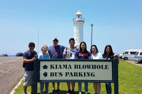 1Day Sydney Private Car Charter With Driver - Accommodation NT 1