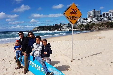 1Day Sydney Private Car Charter With Driver - Accommodation NT 3