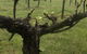 Personalised Wine Tour Experience In The Beautiful NSW Southern Highlands - thumb 4
