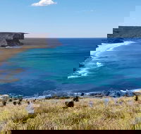 Two-Day Sydney Blue Mountains Sea to Summit Adventure - Accommodation NT