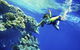 3-Day Tour From Sydney To The Gold Coast Including Port Stephens And Byron Bay - thumb 1