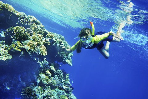 3-Day Tour From Sydney To The Gold Coast Including Port Stephens And Byron Bay - Accommodation NT 1