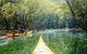 Middle Harbour Mangrove Explorer - thumb 6