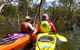 Middle Harbour Mangrove Explorer - thumb 4
