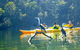 Middle Harbour Mangrove Explorer - thumb 1