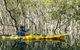 Middle Harbour Mangrove Explorer - thumb 3