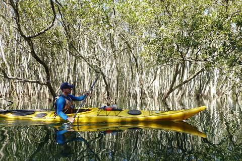 Middle Harbour Mangrove Explorer - Accommodation NT 3