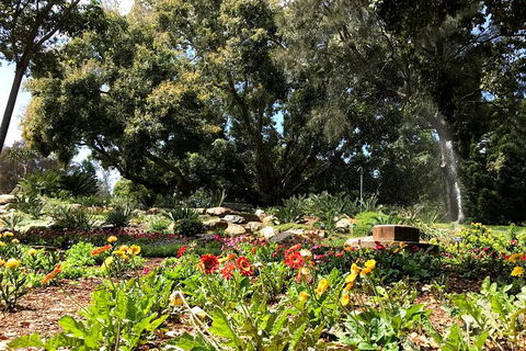 Discover Sydney - Botanic - Accommodation NT 3