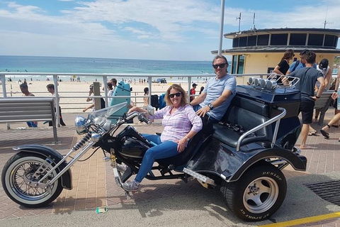 Bondi & Sydney Sights Trike Tour 1.5hrs - Accommodation NT 4