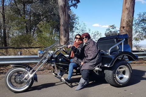 Bondi & Sydney Sights Trike Tour 1.5hrs - Accommodation NT 3