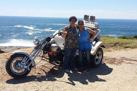 Bondi & Sydney Sights Trike Tour 1.5hrs - Accommodation NT 0