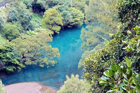 Blue Mountains Private Tour From Sydney With Jenolan Caves - Accommodation NT 17