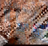 Blue Mountains Private Tour from Sydney with Jenolan Caves - Accommodation NT
